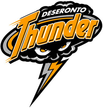 Deseronto Thunder 2006 Primary Logo iron on transfers for clothing